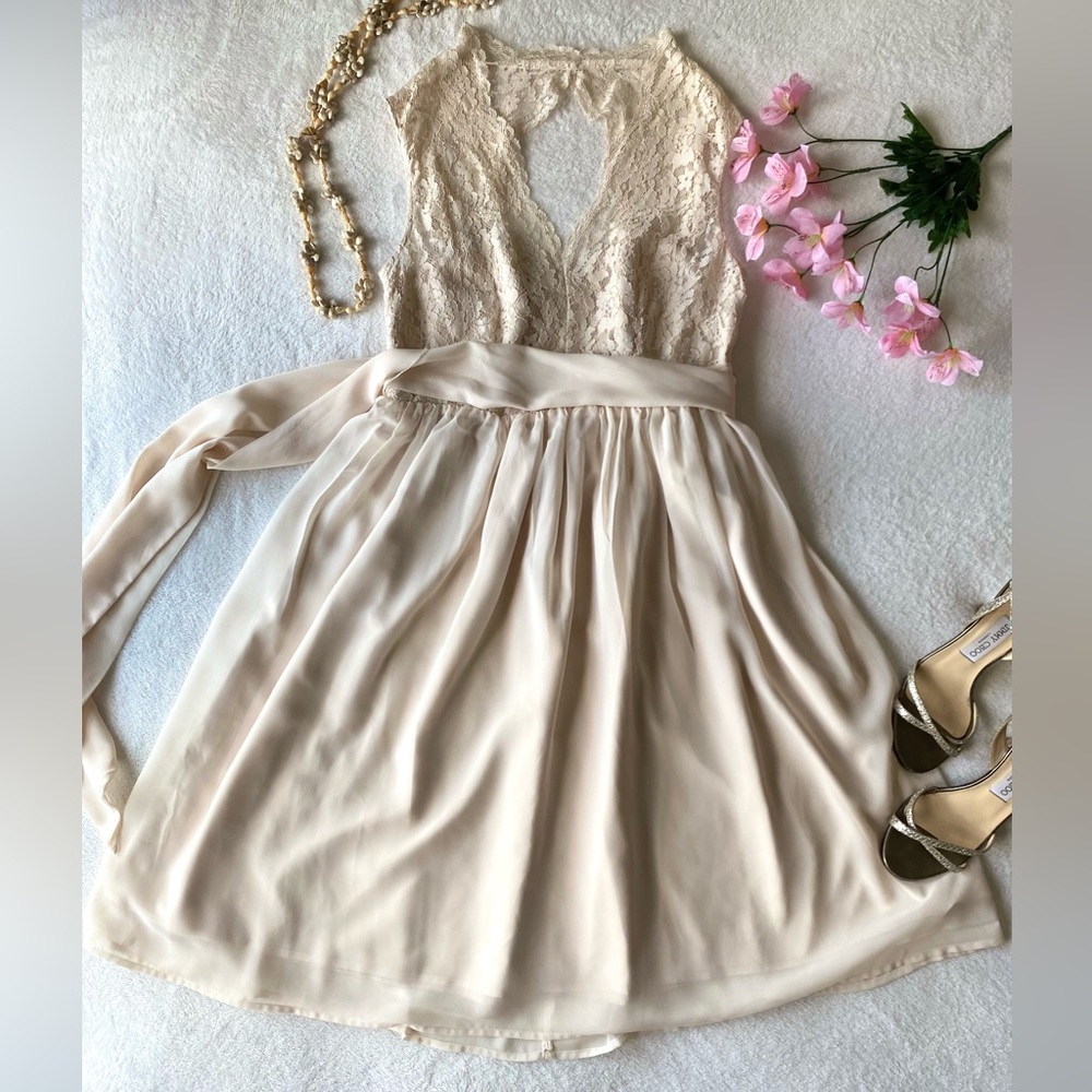 Tevolio ivory lace chiffon dress with removable sash, size 8